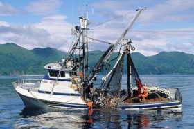 steel-wire-rope-for-fishing-1226933